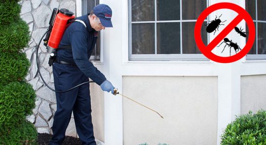 Aybastı Böcek ve Haşere İlaçlama böcek ilaçlama ve haşere kontrolü — ilaclama-tr.com